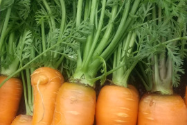 葉つき、自然栽培の人参6kg