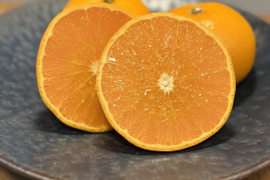 5Kg 実がギュッと！高級品種【せとか】