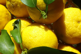 農家の柚子つき🍊🍊🍊農薬不使用【数量限定❗❗】子供に食べさせたい野菜（５品目～７品目）😋🍚ばぁばのモノスゴイ野菜🍅🍆🌽✨✨✨✨✨