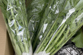 大野ヶ原大根‼️葉付き白大根(収穫前の成長中)1kg