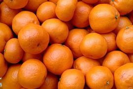 【訳あり】ちびサイズ「ポンカン」‼️5kg(箱込み)