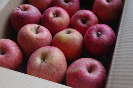 【🍎訳あり・紅玉りんご・SSサイズのみ 】軽めのデザートにピッタリ！3.8㎏  (SSサイズ 24～27個)