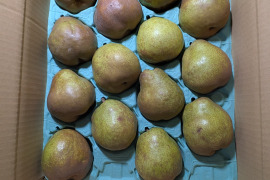 ラ・フランス家庭用