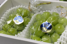 【夏ギフト】岡山県産シャインマスカット贈答用　約800g×2房入り【御中元】