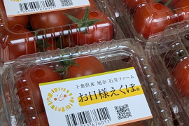お日様えくぼ🍅千葉県産ミニトマト150g×24P