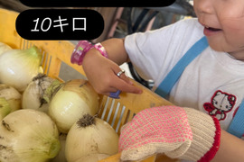 【訳あり】旬の淡路島玉ねぎ！10キロ