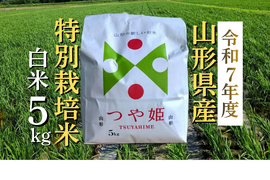 【令和7年度新米】特別栽培米つや姫5kgふっくらつやつや【冬ギフト】