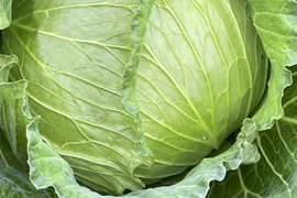 今が旬❗️甘〜い‼️大野ヶ原高原キャベツ🥬Mサイズx2p