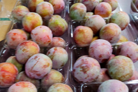 【訳あり】山梨県産プラム ソルダムご家庭用　約1.5kg(12個～16個入り）
