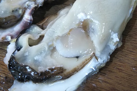 「旬」到来！　バラ牡蠣 生食可　7kg （45個くらい）
