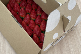徳島県産『さちのか』おまかせハコいちご
