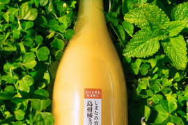 神の島育ちの自然な柑橘MIXジュース（720ml×4本）