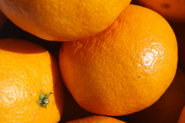 ジュワッ🍊🍊🍊❗❗【数量限定❗❗】子供に食べさせたい😋🎵✨✨✨自然栽培みかん４㎏と柿三個セット