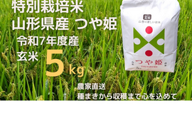 【令和7年新米】特別栽培米つや姫玄米5kg【冬ギフト】