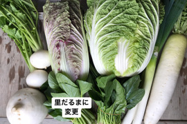 【めぐみ様専用】