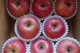【🍎サンふじ】 大玉8個 (3㎏・家庭用)