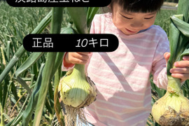 【正品】あまい淡路島玉ねぎ！10キロM～2L