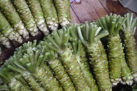 本わさびの通販｜食べチョク｜産地直送(産直)お取り寄せ通販