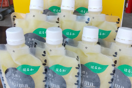 【冷凍ジュース、はるかさんの贈り物に】はるか完熟贅沢生絞り冷凍ジュース150㎖を9個