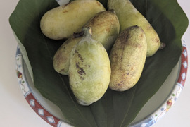 ポポー｛森のカスタードクリームと呼ばれる珍味な果物｝