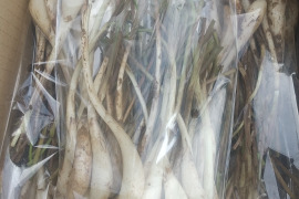 【数量限定】沖縄県産島らっきょう1キロ