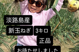今が旬の淡路島新玉ねぎ！3キロM～2L