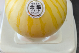 【夏ギフト】シャリ感と甘さのダブルパンチ！希少種！金福スイカ（約2kg）