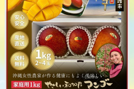 沖縄県のマンゴーで産地直送の商品｜食べチョク｜産地直送(産直