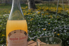 ストレートリンゴジュース720ml２本セット