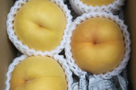 １．５kg×２箱「黄ららのきわみ(訳あり)」
