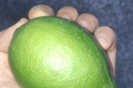 防腐剤、ワックス不使用　皮ごと使用  広島県産綺麗な種無しレモン 璃の香 　   5ｋｇ