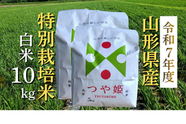 【令和7年度新米】特別栽培米つや姫10kgふっくらつやつや【冬ギフト】