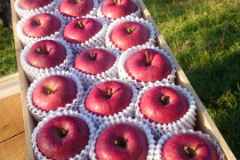 昔懐かしいりんごの木箱【りんご2種類詰め合わせ】（3段詰め15キロ）