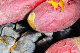 あまはづき　5kg 栽培期間中、農薬、化学肥料不使用