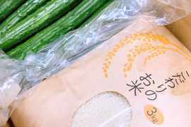 朝採り甘くて美味しいきゅうりともちもち甘いコシヒカリセット