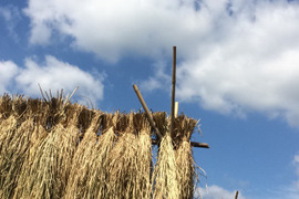 【新米】農薬・肥料不使用、天日干し
コシヒカリ(玄米19kg)令和5年産
🌾潮風はざかけ米