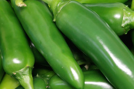 爽辛！！熊本県産生のハラペーニョ１kg