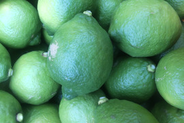 防腐剤、ワックス不使用　皮ごと使用激安広島県産レモン 訳あり品 4ｋg(約39個入)