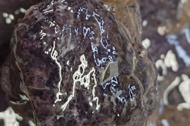 【禁断の珍味】タラバガニの生内子/500g前後/旨すぎて食べ過ぎ注意【生冷凍】【数量限定】