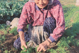 ((((；゜Д゜)))くさ～いセット🥕【旬の葉玉ねぎとニラ❗❗】ばぁばのモノスゴイ野菜🧅✨✨✨