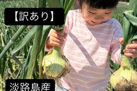 【訳あり】淡路島新玉ねぎ！3キロ