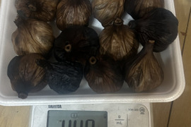 ③自然栽培　黒にんにく 人気　たっぷり890g  トレー2皿分32個　　　生にんにく少量サービス
令和7年度新物　食べやすくて美味しい