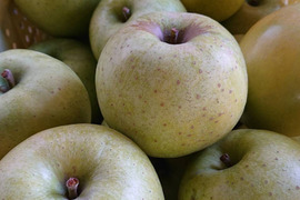 訳あり品「小玉の王林」約5kg入り（名月も甘いけど王林の香りと甘さもぜひ！）小ぶりだけど香りと甘味は良いよ。（スムージにも適しています。）