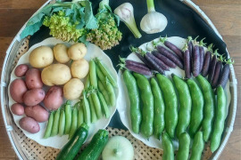 今が旬の野菜セット（7品目以上）
