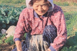 😻ネコ店長おすすめ😽農薬と化学肥料を使わないで育てた野菜セット🐱🐾【数量限定❗❗】（５品目～７品目）😋🍚ばぁばのモノスゴイ野菜🍅🍆🌽✨✨✨