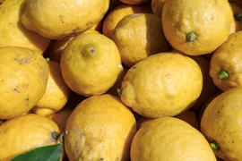 2kg【完熟】【栽培期間中農薬不使用】大崎上島レモン2㎏