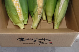 イエローコーンとホワイトコーン　贅沢食べ比べセット！！