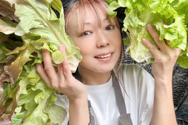 80 信州産｜箱いっぱい！リーフレタス詰め放題