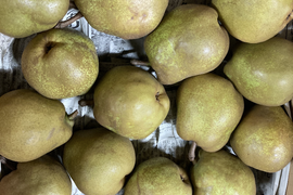 晩秋柿セット！柿約3キロ+お試しラフランス約3キロ