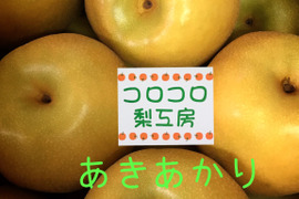 【激レア品種②】とにかく甘い‼️あきあかり梨約2.2kg(小玉8個入)✨️豊水・幸水より甘い!!キメ細かでとってもジューシー💦
日持ち良し‼️